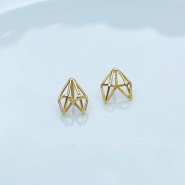 Ambüe Earrings 5